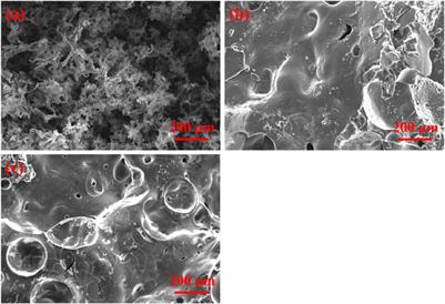 Thermal performance of thermoplastic polyurethane composites with microencapsulated piperazine pyrophosphate